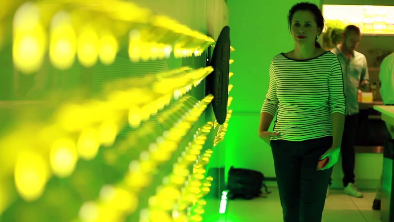 4 fuerzas de la naturaleza por Paco Roncero