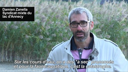 Sécheresse: inquiétudes autour du lac d'Annecy