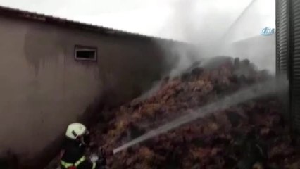 Şanlıurfa'daki Yangınla İlgili 5 Gözaltı