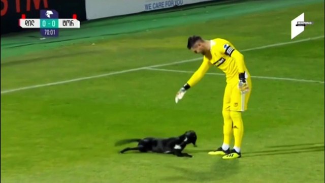 Davetsiz misafir halinden memnun!