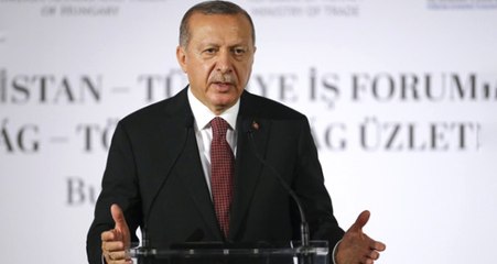 Son Dakika! Cumhurbaşkanı Erdoğan'dan Macaristan'a Çağrı: Afrika'da Ortak Yatırım Yapılım