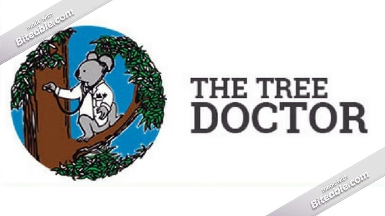 Best Stump Grinding Service in Sydney | The Tree Doctor