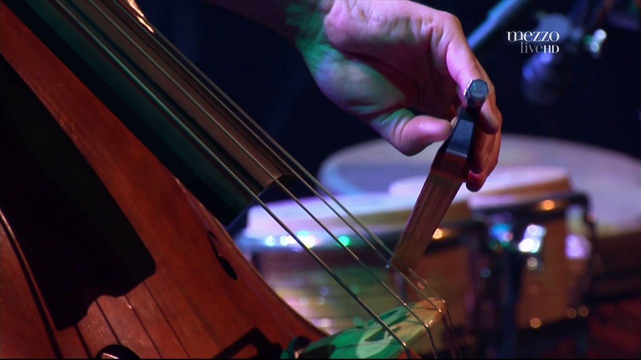 Renaud Garcia-Fons - La Linea Del Sur  (Jazz sous les Pommiers 2010)