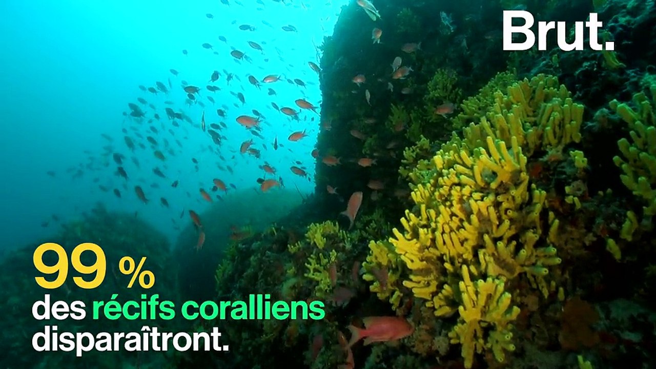 Montée des eaux, pauvreté… l’avenir sombre de notre planète dévoilé par un rapport du GIEC
