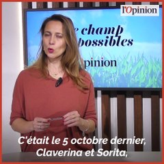 La nouvelle modernité, c'est de vivre avec les bêtes sauvages