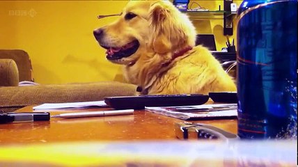 Russell Howards Good News S06 E06