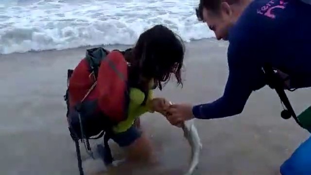 Elle se fait attraper la main par un bébé requin qui ne veut pas lacher