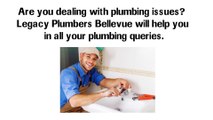 Plumber Bellevue WA - Best Local Expert