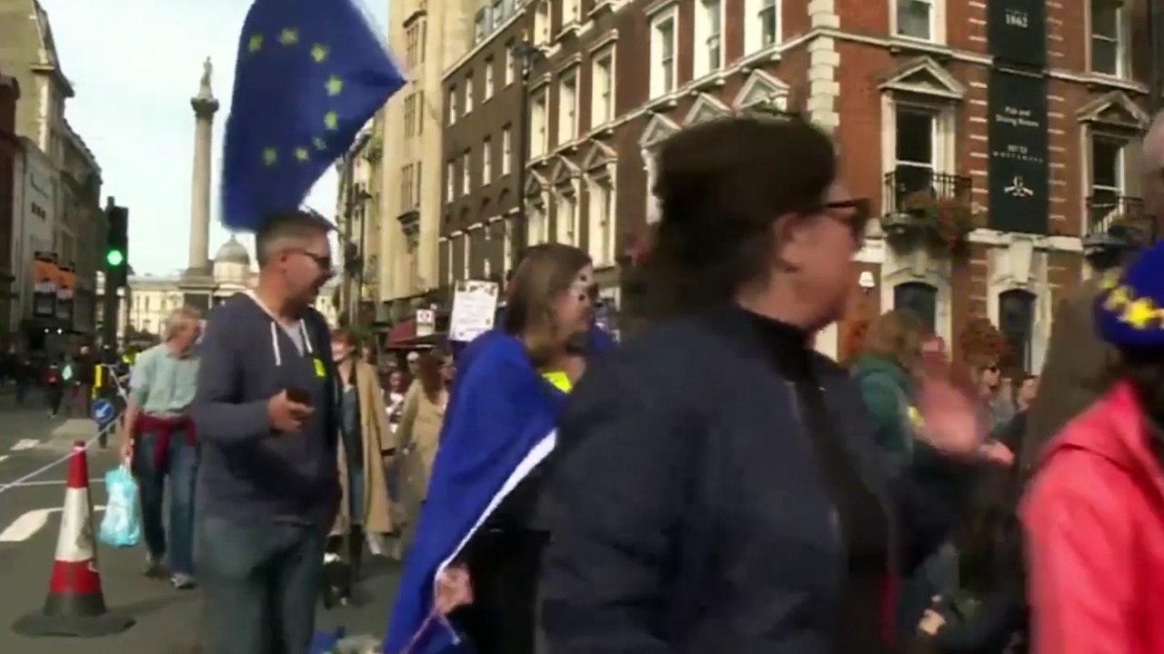 போராட்டத்தில் குதித்த நாய்கள்-வீடியோ