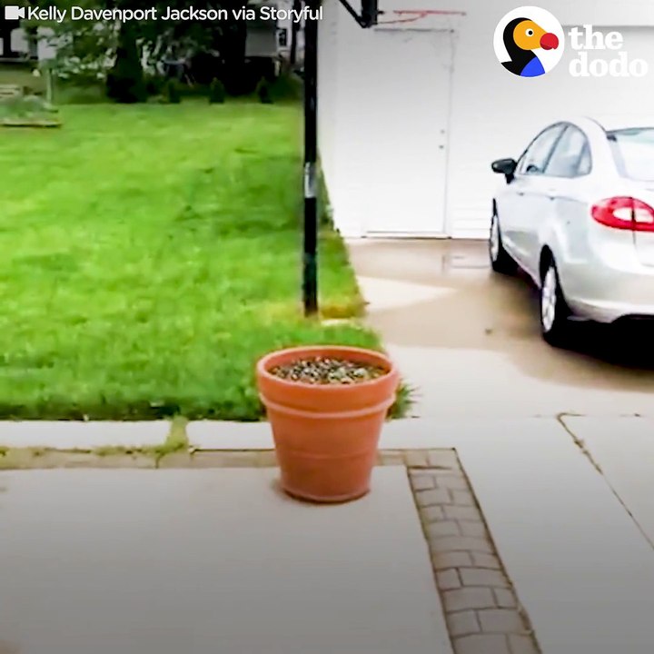 Nope, definitely NOT coming in