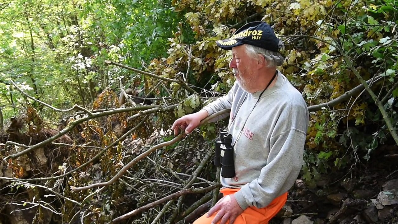 Aywaille : son chat coincé dans un arbre depuis 5 jours
