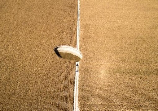 Obruğa Düşen Şaşkın Tilki, 51 Saat Sonra Kurtarıldı