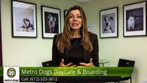 Golden Valley, Minneapolis Dog Daycare & Boarding Incredible 5 Star Review