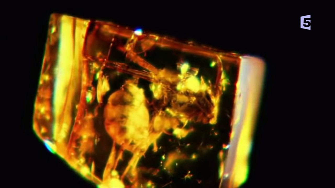 Jurassic Park Quand la fiction devient réalité [ Documentaire 2018 ] -