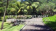 To celebrate #Seychelles National Day, we asked some of our team to tell us what they love about Seychelles. Tell us what you love most about our beautiful isla