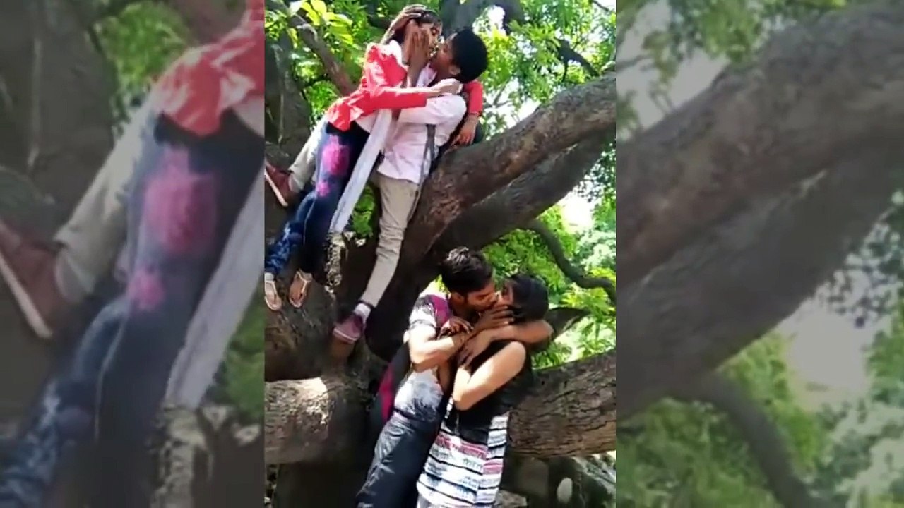 Four Love Birds Enjoying on Mango Tree - Do Premi Jodo ki Jungle mein masti
