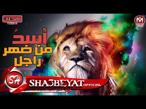 مهرجان اسد من ضهر راجل غناء غاندى - لولاكى - اللورد - جاوا توزيع حمو حريقة 2017 على شعبيات