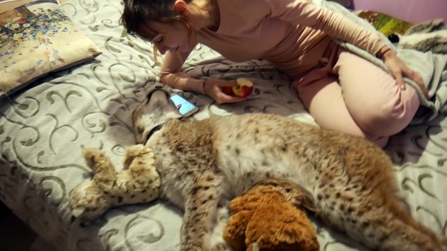 Elle fait un gros calin à son lynx de compagnie... Adorable