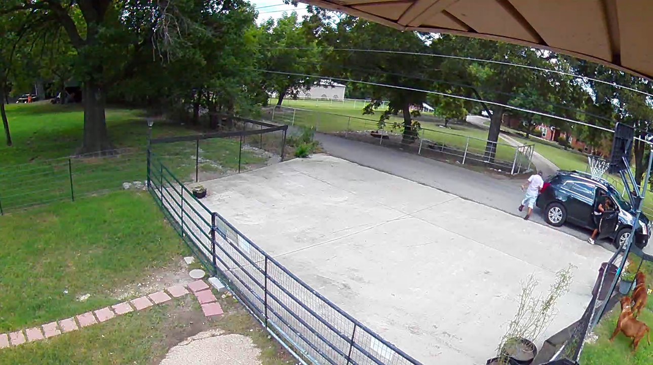 Security Camera Captures Horrible Puppy Theft