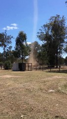 Backyard Dust Whirlwind