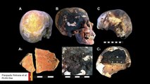Study Finds Mount Vesuvius Victims Died In Brutal Ways With Skulls Exploding Due To Extreme Heat