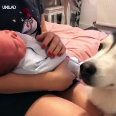She loves her new baby human 