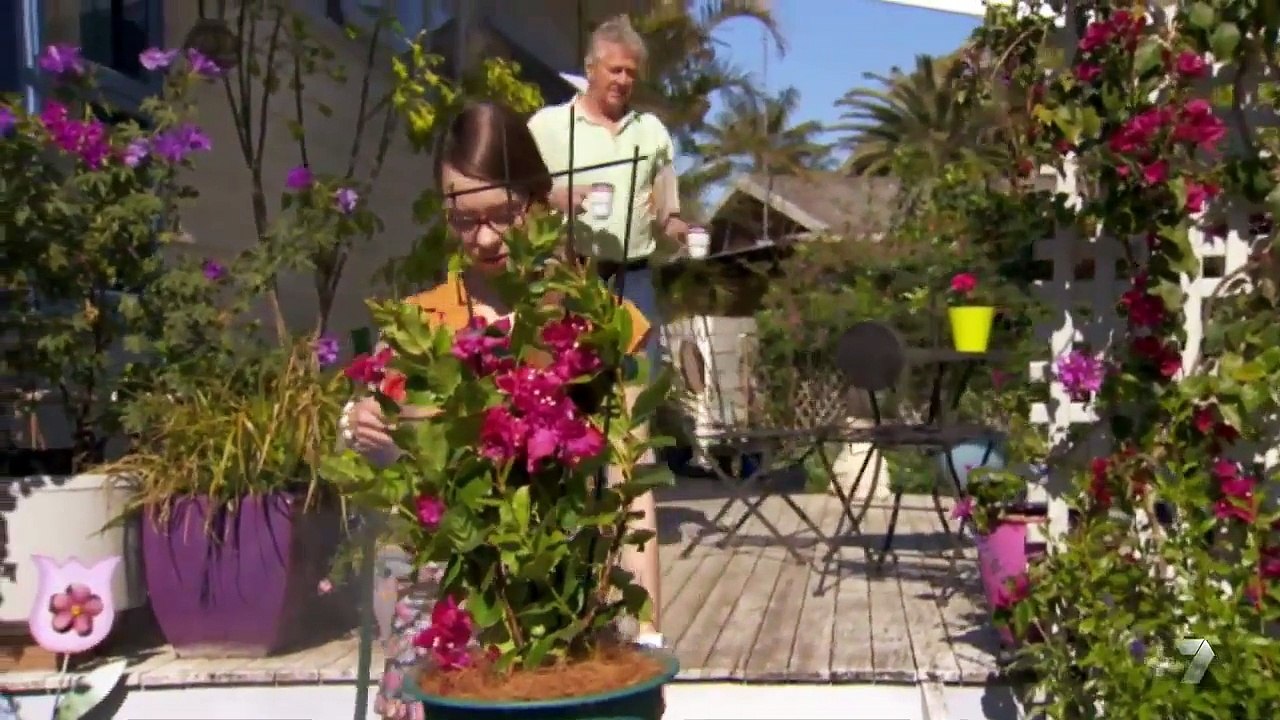 Home and Away | Episode 6364 | 18th February 2016 (HD)