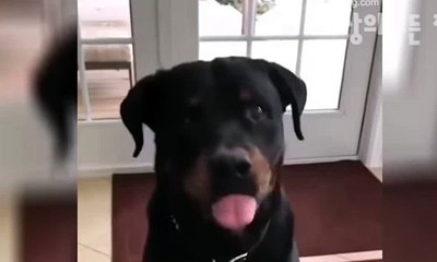 수원출장아가씨//전화☎문자//수원출장안마oIo_2762_2119 수원출장마사지 만족도1위 수원마사지 수원신속한출장∽수원출장마사지∀수원출장마사지™수원자택출장