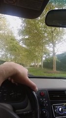 17 Squabble Lane or Bust 1