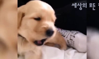 안양출장아가씨//전화☎문자//안양출장안마oIo_2762_2119 안양출장마사지 만족도1위 안양마사지 안양신속한출장∽안양출장마사지∀안양출장마사지™안양자택출장