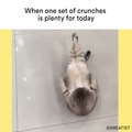 When one set of crunches is plenty for today