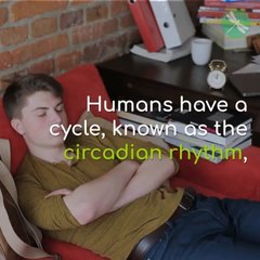 A How-To Guide to the Perfect Nap