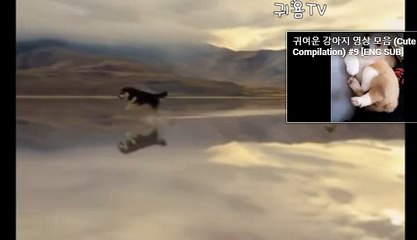 안산출장안마【Ø1Øx2762x2119】 안산출장맛사지//전화☎상담// 안산건마 재추천1위 안산마사지 안산오피쓰걸Ш안산출장마사지▣안산오피⇒안산출장안마