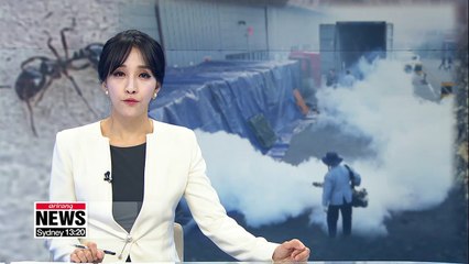 Red fire ants found inside container in Ansan eliminated