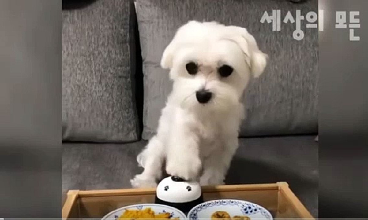 안산출장안마//후불입니다// ♂｛CALL｝Ō1Ō∪2762∪2119안산HOME출장마사지샵'후불'안산출장샵((20~30대))안산출장안마코스 안산여8안산마사지1등 안산출장만