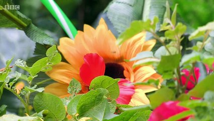 Mr Bloom Here and There.s01e02.Steam Railway & Museum