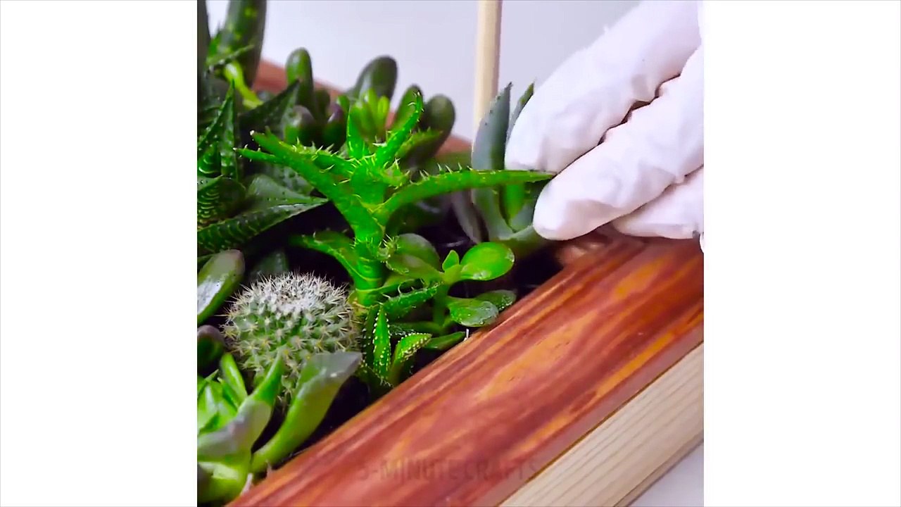 20 ASTUCES POUR TES PLANTES QUI DONNERONT DE LA VIE CHEZ TOI