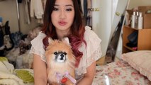 Furry Friend Tag   Vlogmas #5   KimDao Vlog