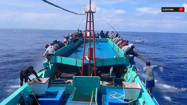Amazing Fishing Skill, Fishing Tuna in the sea