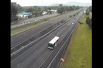 A Cockatoo Checking Out A Freeway Traffic Camera Is What We Need Today