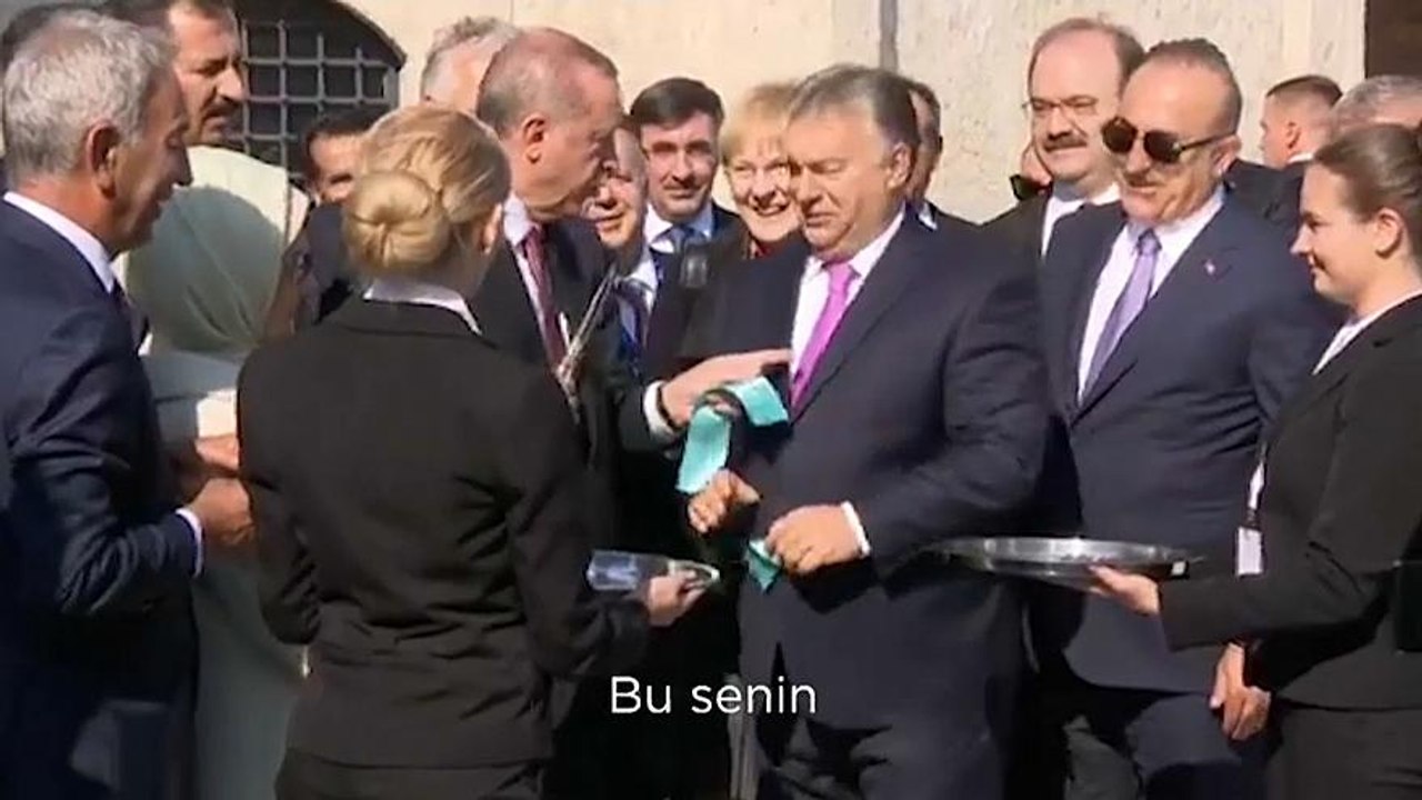 "Makasla çok tehlikelisin"