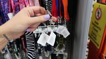 SOMEONE STOLE SOMETHING FROM ME! IM MAD! AND QUAIL CHAOS