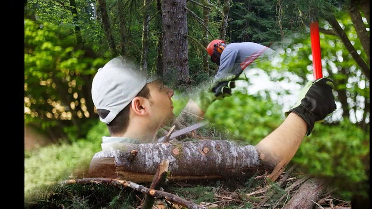 Tree Trimming Services