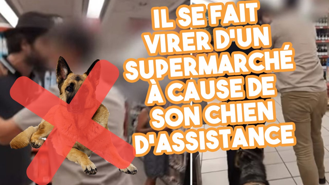 Malvoyant, il se fait éjecter d’un supermarché à cause de son chien guide et dénonce cette discrimination !