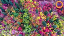 Il rend hommage à la beauté des couleurs d’automne dans l’Utah grâce à son drone !