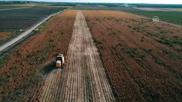 Soya, Verimi ve Fiyatıyla Çiftçiyi Sevindirdi