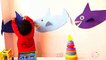 Baby Shark Song Show with Funny Toddler  Baby Mark Play Indoor Video for Kids Childrens Toddlers