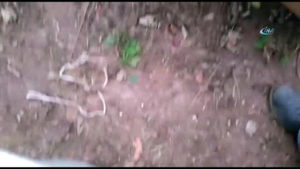 Sakarya'da Jandarmadan Eş Zamanlı Uyuşturucu Operasyonu