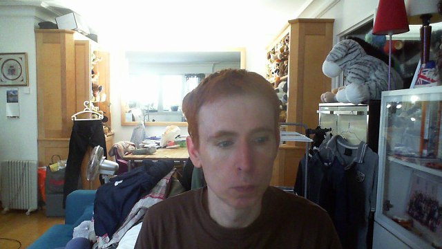 Wiwi égratigne le chagrin d'Allain Leprest