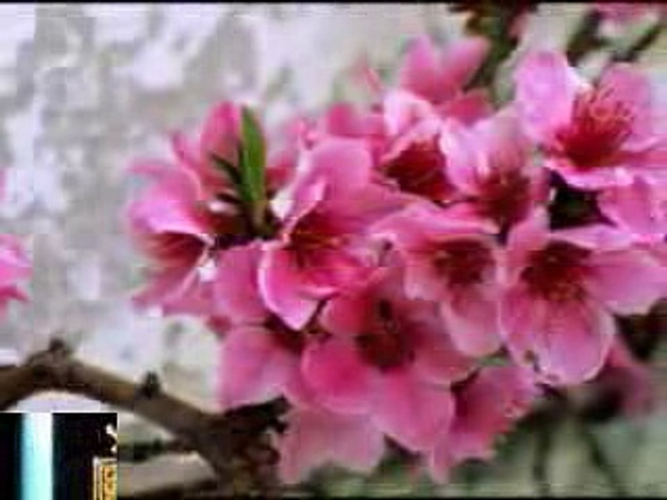 KHẨU....